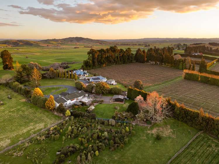 168 Te Kawa Road Te Awamutu_34