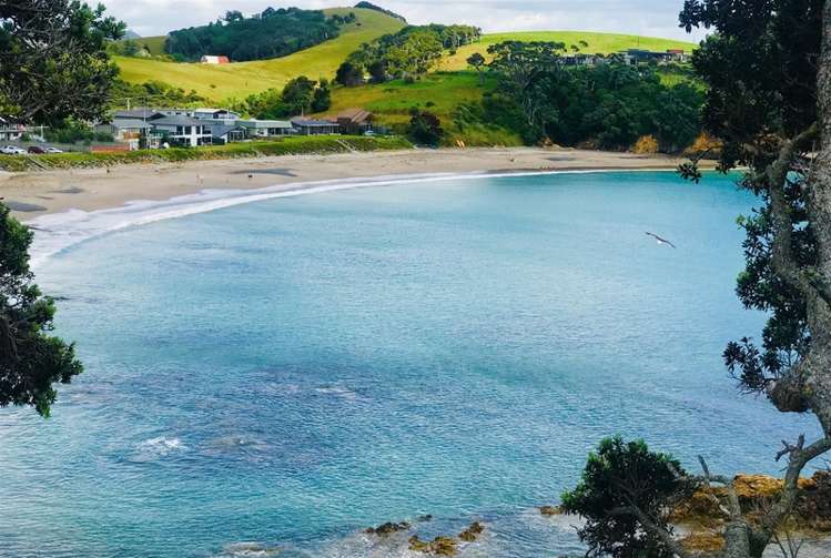 24 Mcgregor Street Taiharuru_19