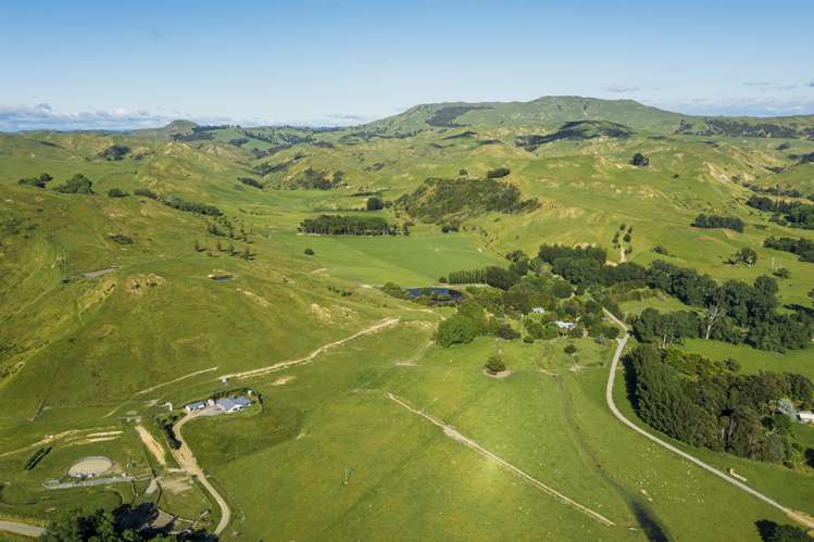 8/3382 Pourerere Road Central Hawkes Bay Coastal_17