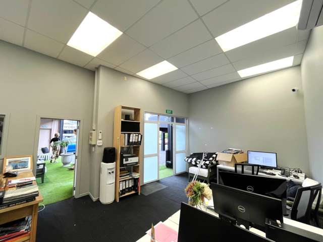 17c Pollen Street Grey Lynn_4