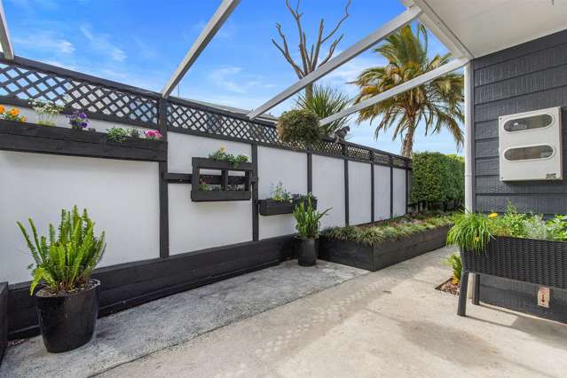 37 Rushton Road Morrinsville_3