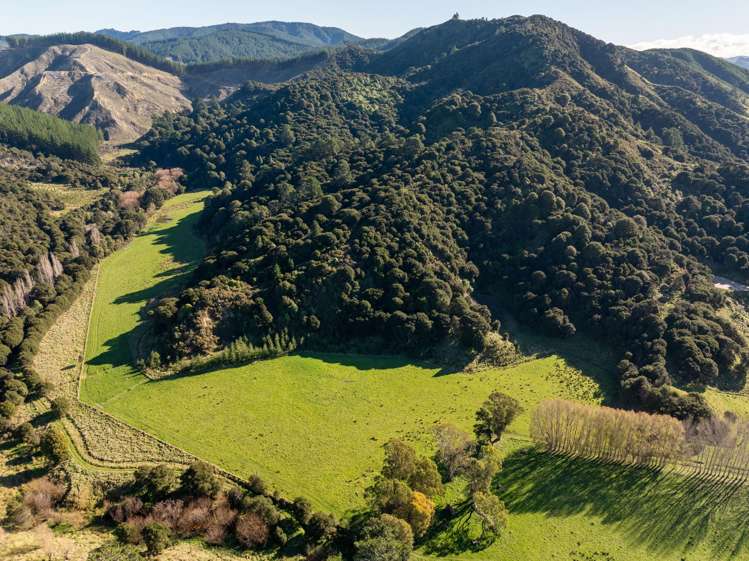 Lot 2/648 Homewood Road Riversdale Beach_6