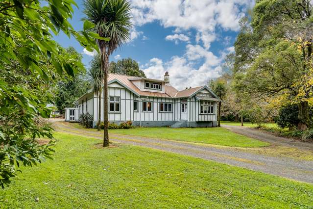 710 Top Grass Road Dannevirke_3