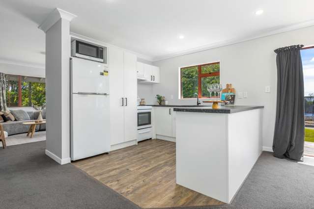 461 Tararua Road 10516_3