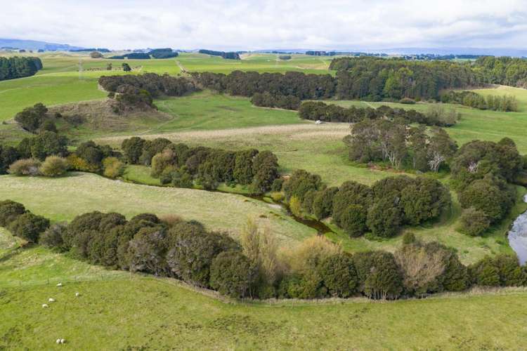 620 Taonui Road Colyton_10
