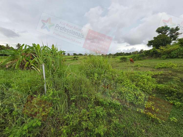 Address withheld Sonaisali_16