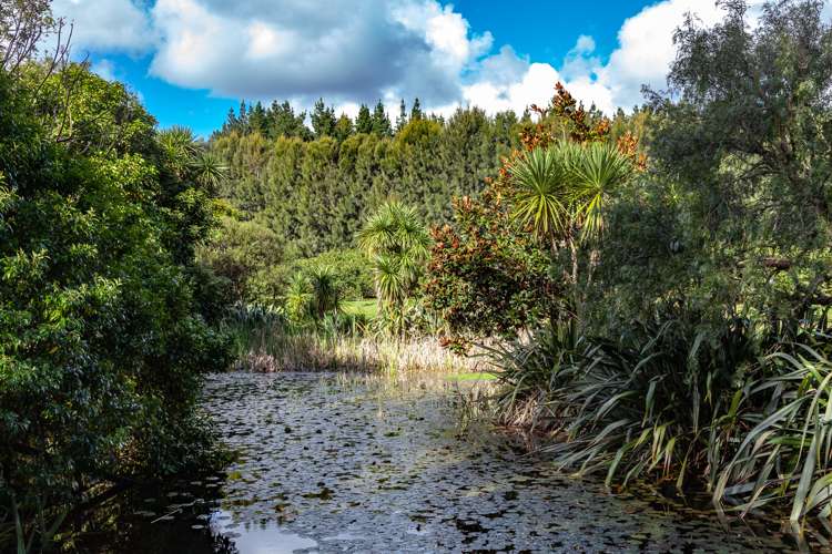 146 Omahu Valley Road Puriri_20