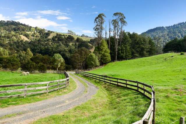 473A Waingaro Road Ngaruawahia_3