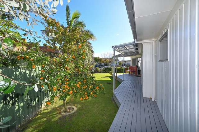 7 Wynyard Crescent Tamatea_3