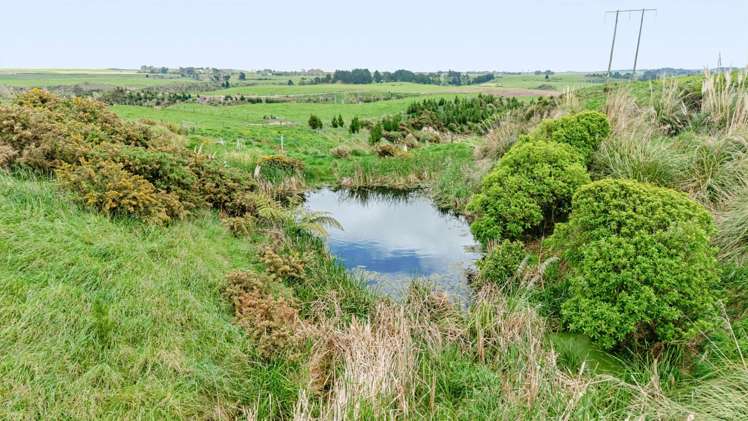 195 Ngutuwera Road Waitotara_18