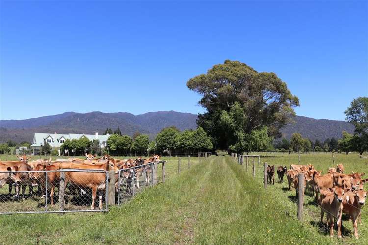 120 Patons Rock Road Kahurangi National Park_28