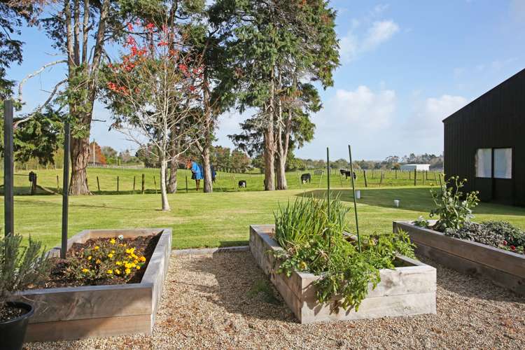 86 Saddleton Road Clarks Beach_12