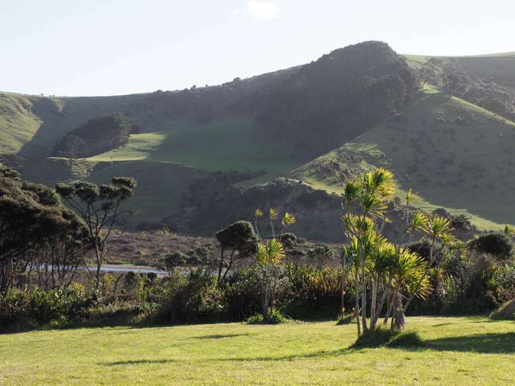 158 Bethells Road_4