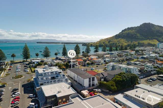 1/17 Victoria Road Mount Maunganui_2