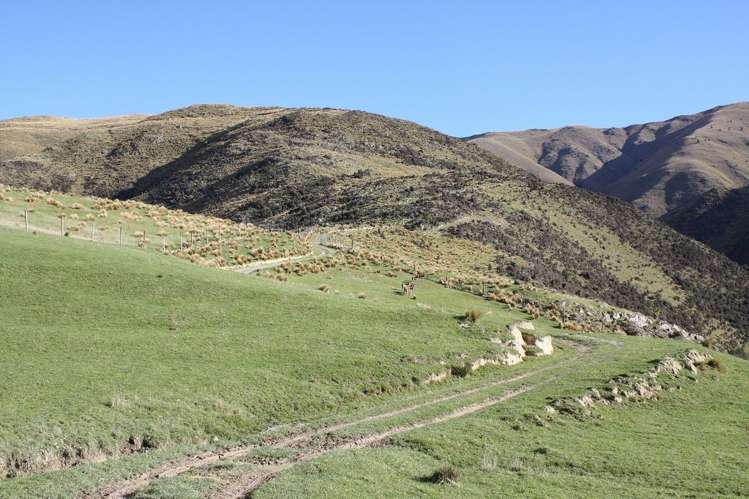 483 School Road Fairlie_8