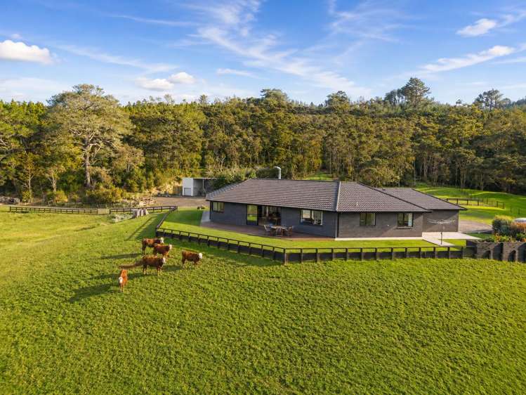 49 Kanohi Road Kaukapakapa_15