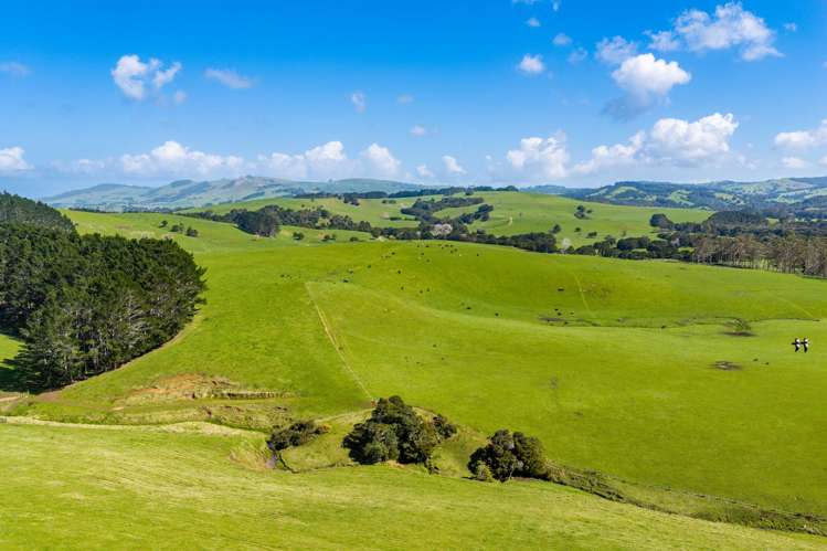 3902 State Highway 12 Dargaville_14