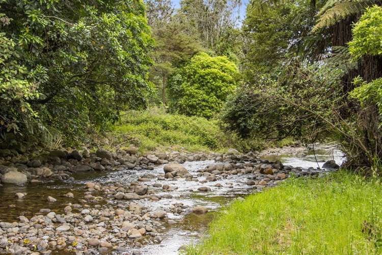 202c Thompsons Track Aongatete_17