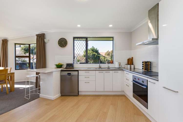 17 Murphys Road Springlands_6