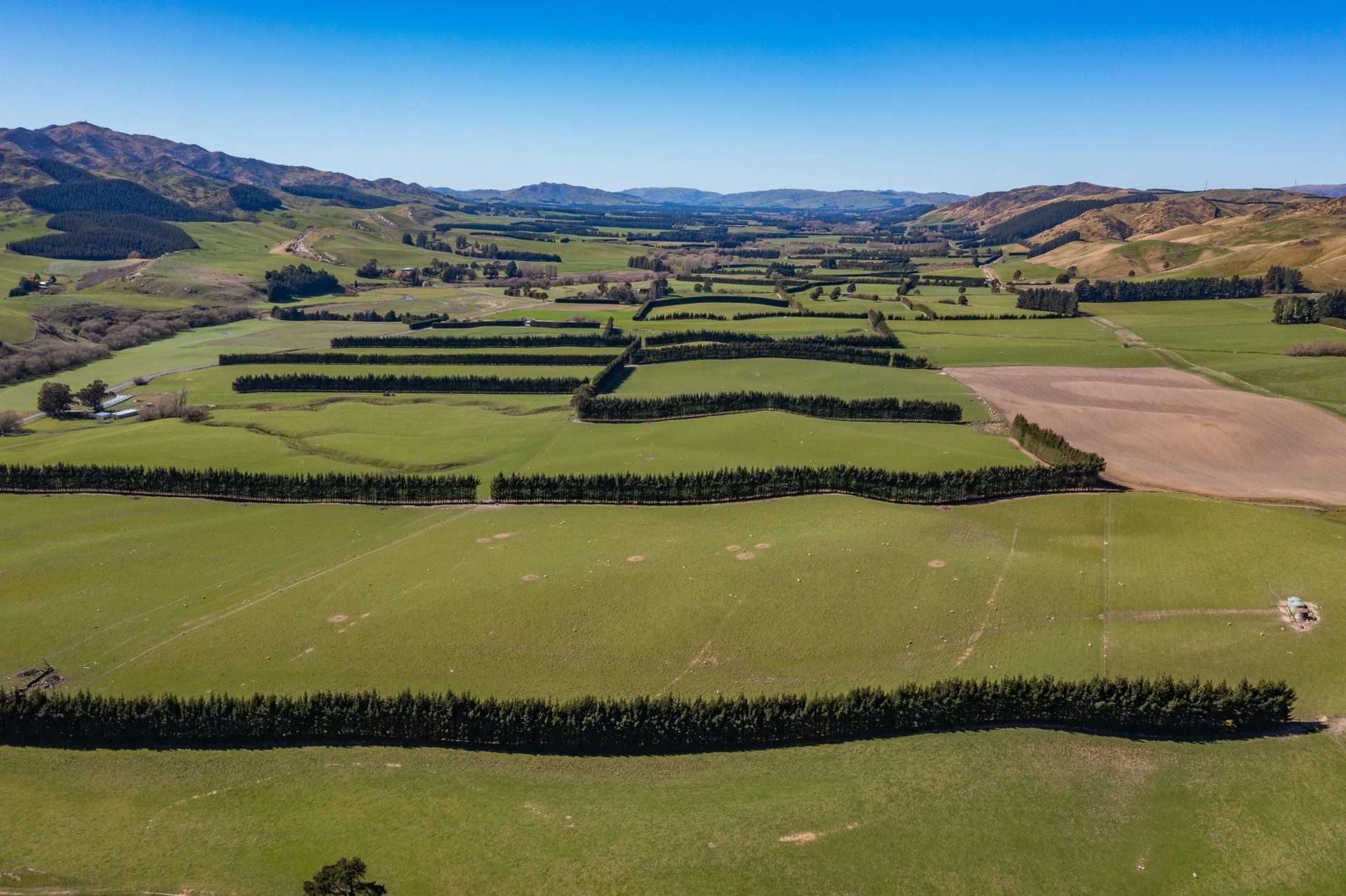 554 Waikari Valley Road Scargill_0