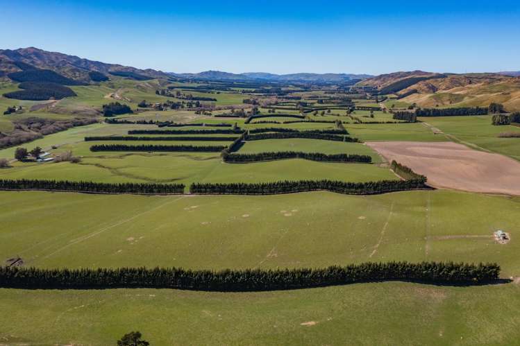 554 Waikari Valley Road Scargill_0