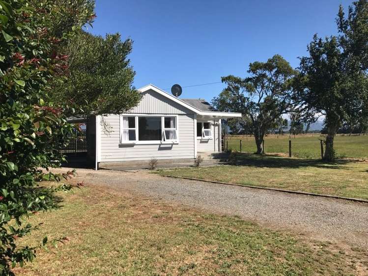 460 Wards Line Greytown_10