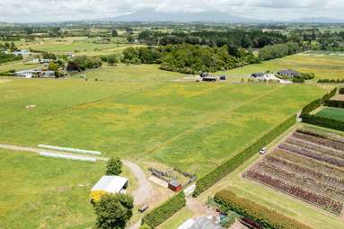 202 Kairau Road East_3