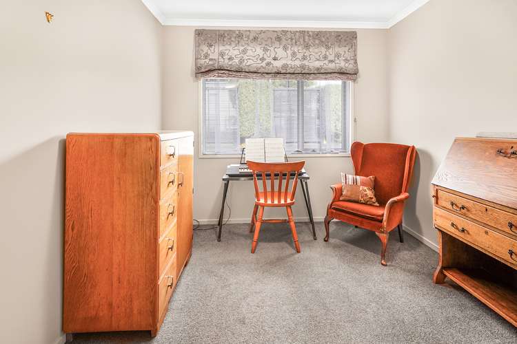 229 Fraser Street Te Awamutu_11