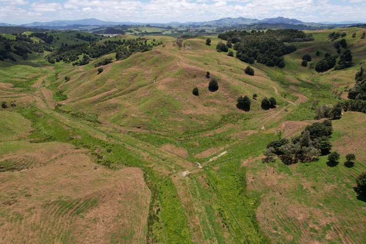 Pukehuia Road Arapohue_4