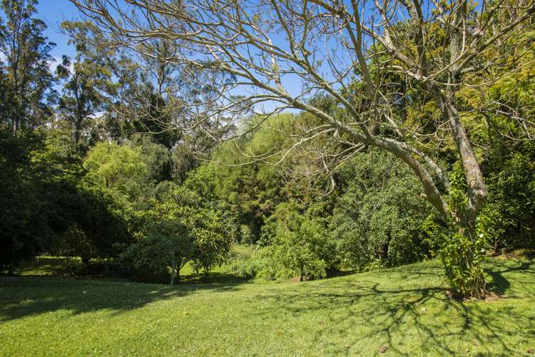 26 Hill Road Whataupoko_18