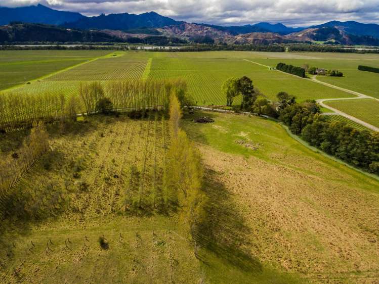 143 Lanark Lane Renwick_2