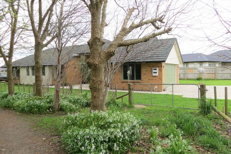 64 Ritchie Street Te Aroha_0