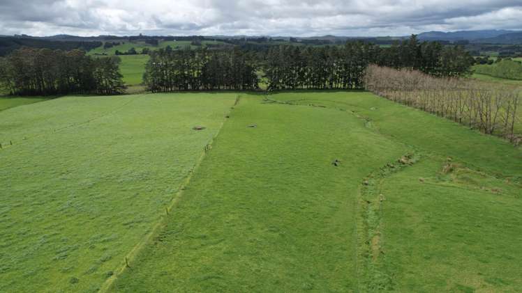 619 Rakauwahia Road Kaikohe_12