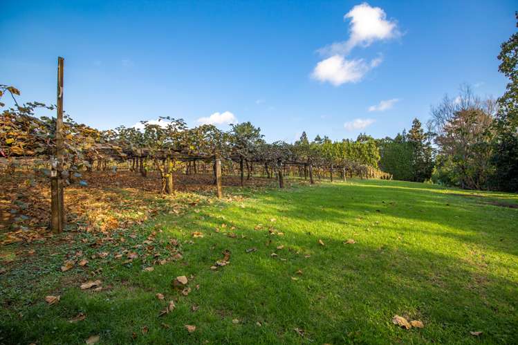 32 Gooseberry Grove Pauanui_10