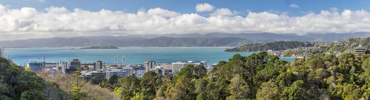 44 Orangi Kaupapa Road_1