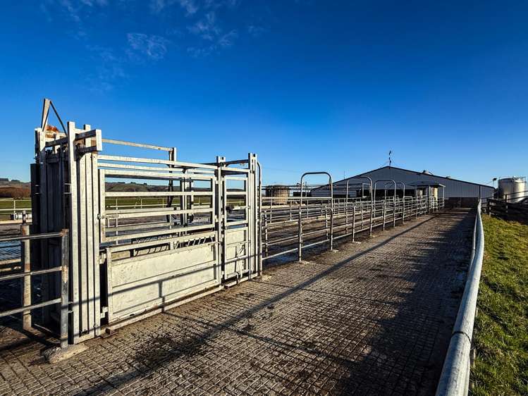 671 Island Edendale Road Wyndham_3