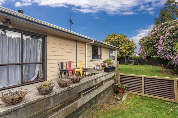 29 Hydro Road Edgecumbe_12