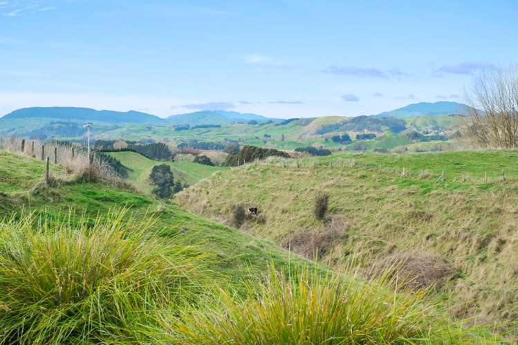 696A Poutakataka Road Ngakuru_16