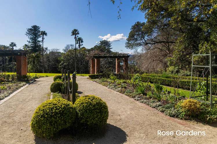 9/11 Balfour Road Parnell_17