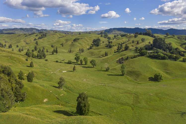 510 Barclay Road Aria_0