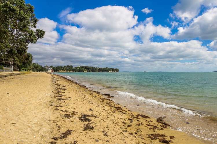 27 Cheltenham Road Devonport_24