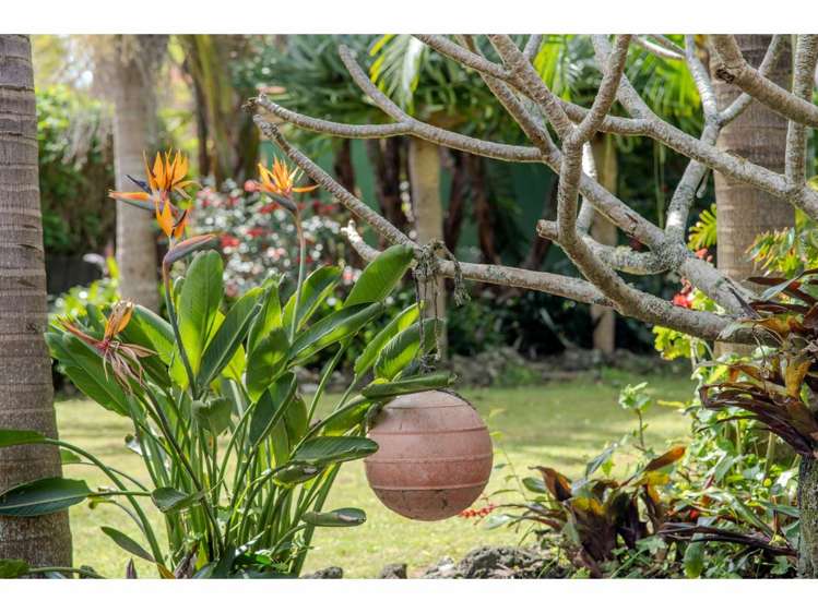 38 Cobham Road Kerikeri_18