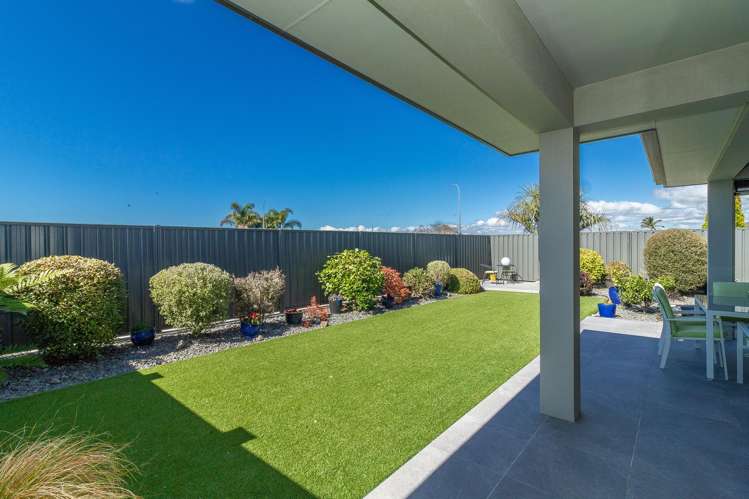 41 Wharerangi Road Greenmeadows_17