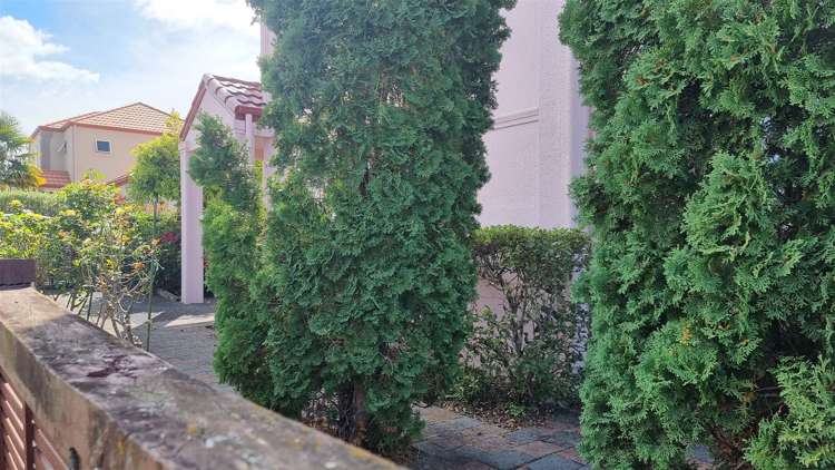 9 Stolford Crescent New Lynn_7