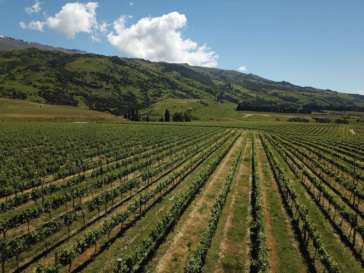 Luggate-Cromwell Road Queensberry_9