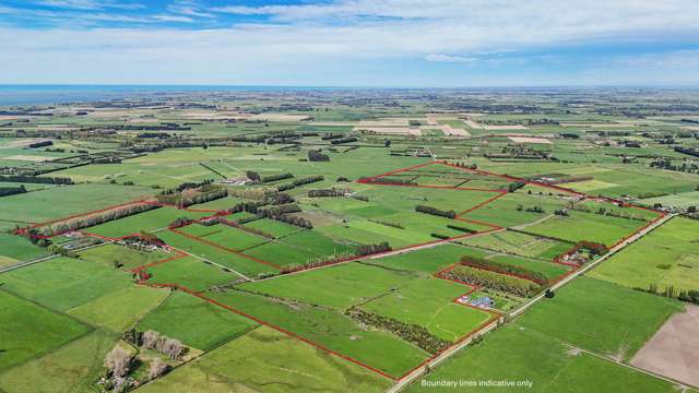 Springston Starter - Entry level first farm