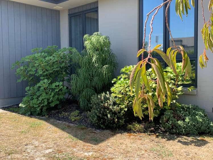 2 Andalusian Way Karaka_18