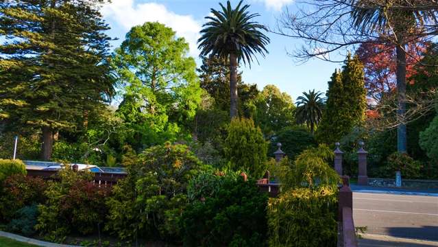 3/227 Bridge Street Nelson City_1