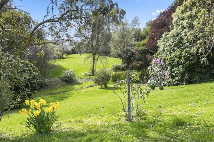 20a Brighton Road Green Island_18