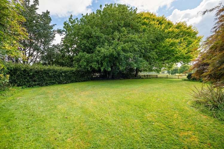 119 Ringer Road Tauwhare_10